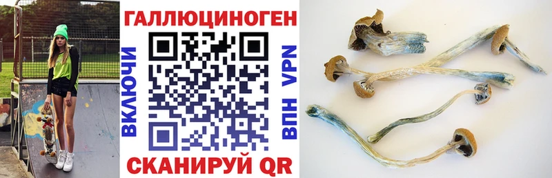 Галлюциногенные грибы ЛСД гидра ссылки Спасск-Рязанский